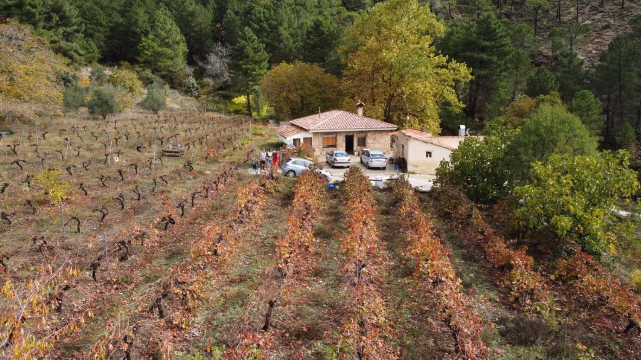 La Limonera Pension Riópar Buitenkant foto